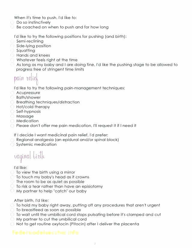 E Page Birth Plan Template New to E Page Business Plan