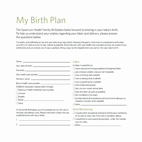 E Page Birth Plan Template Xors3d Template 2018