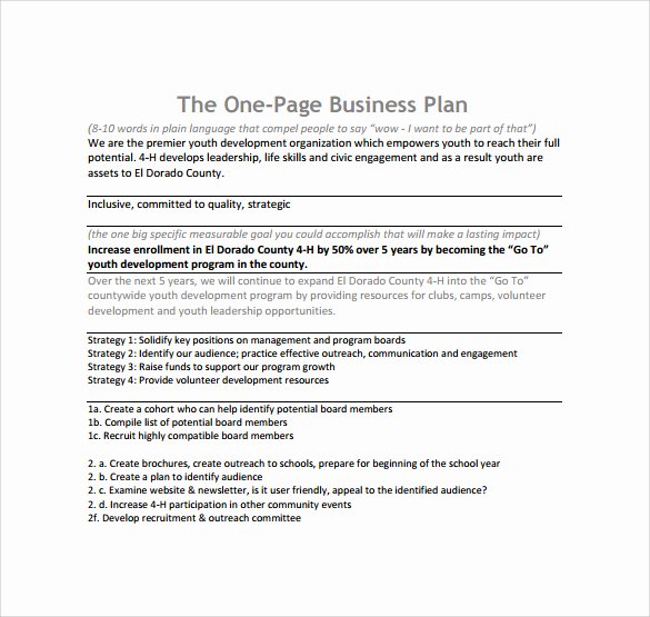E Page Business Plan Template