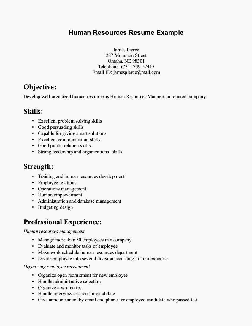 E Page Cv Examples Resume Template