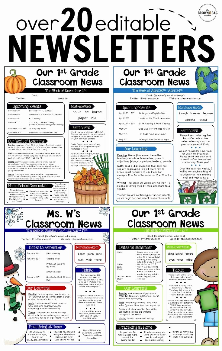 Editable Newsletter Templates Back to School