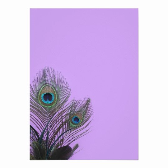 elegant peacock blank invitation purple