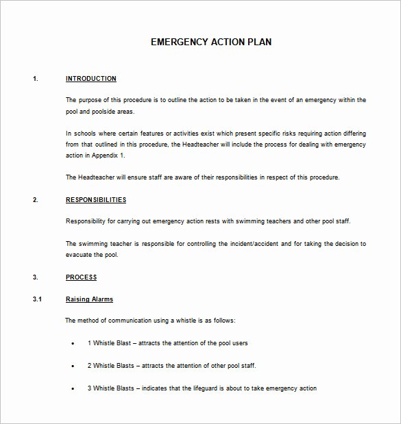 Emergency Action Plan Template 8 Free Sample Example