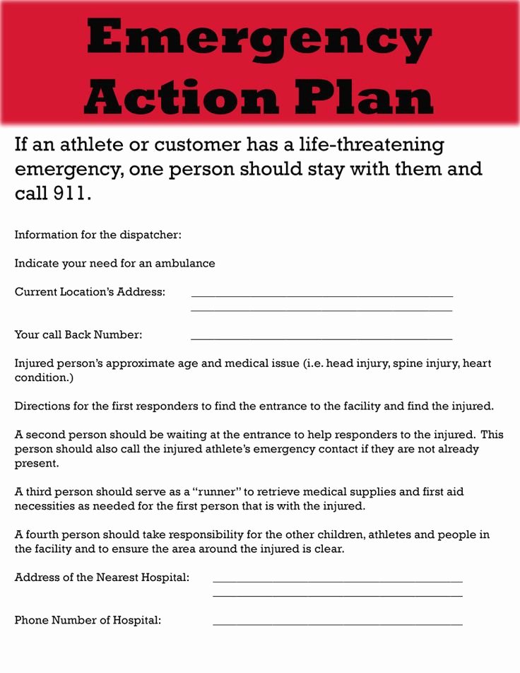 Incident Action Plan Template