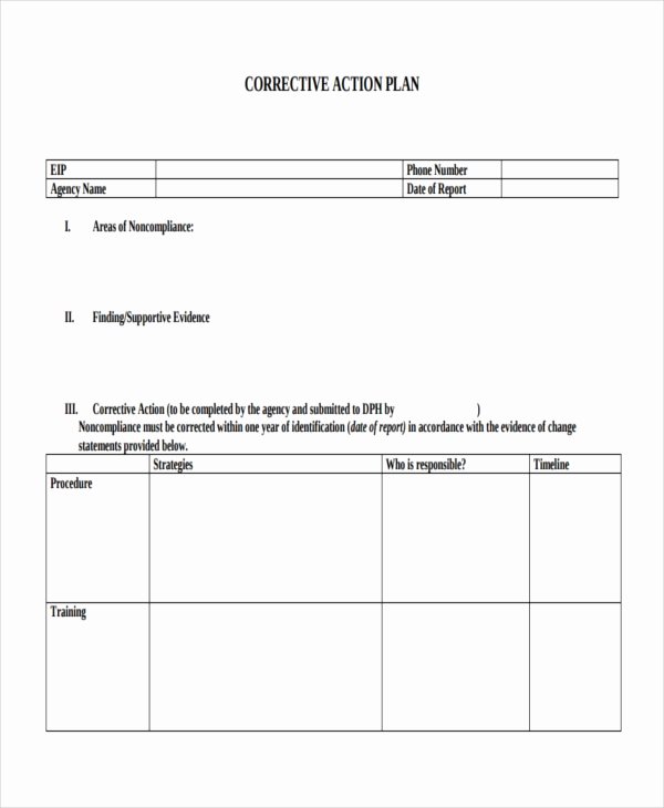 Employee Action Plan Template 12 Free Sample Example
