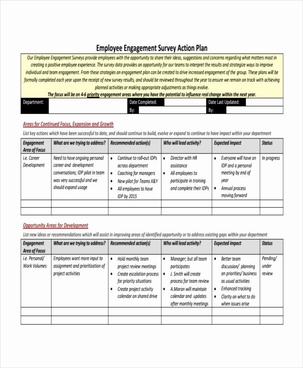 Employee Action Plan Template 14 Free Sample Example