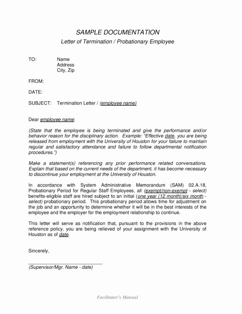 Employment Termination Letters 10 Free Word Pdf Excel