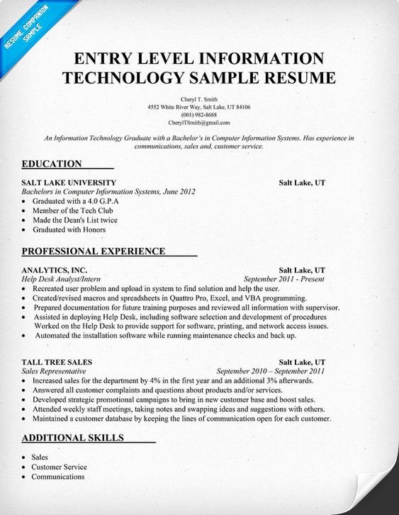 Entry Level Information Technology Resume Sample