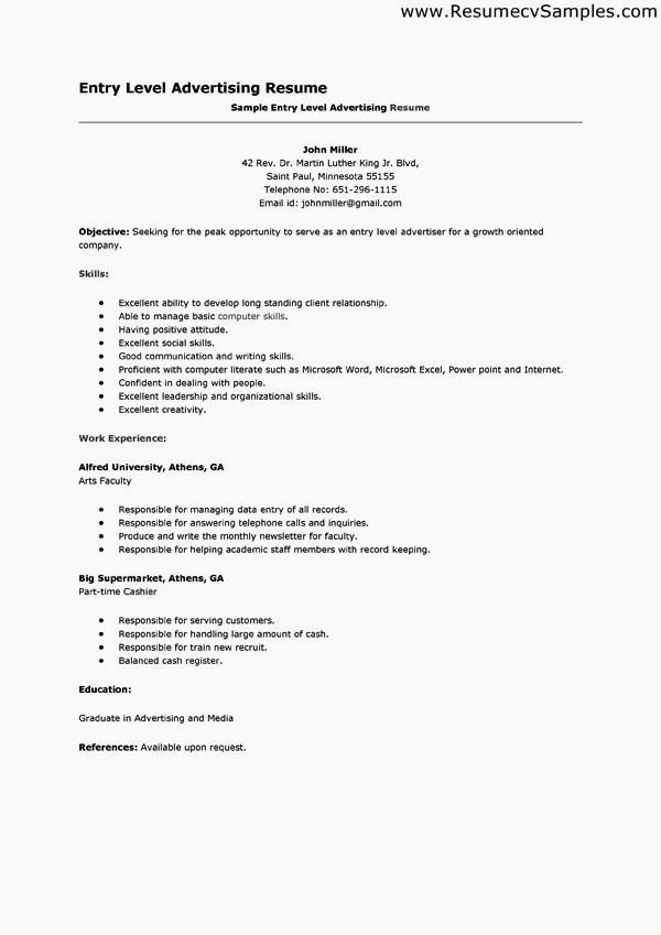 Entry Level Job Resume Examples Resume Template
