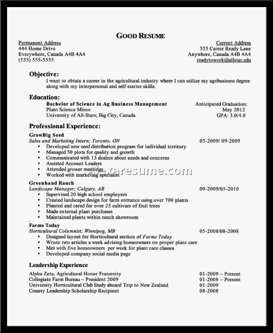 Entry Level Prep Cook Resume Resume Template