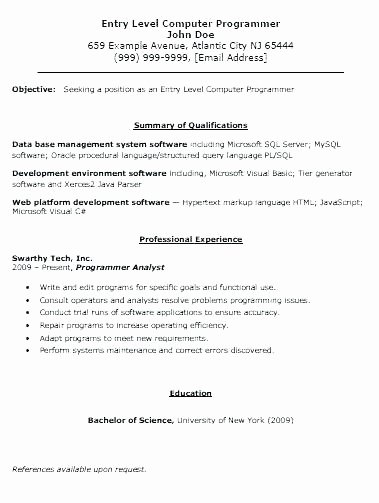 Entry Level Programmer Resume Programmer Resume Template