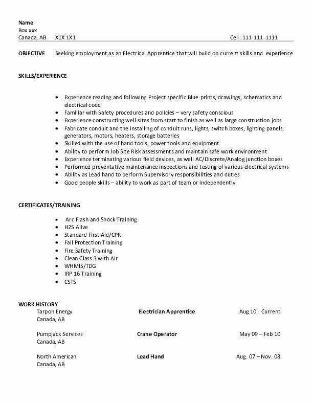 entry level resume headline examples