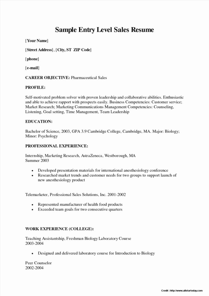 Entry Level Resume Template Free Templates Resume