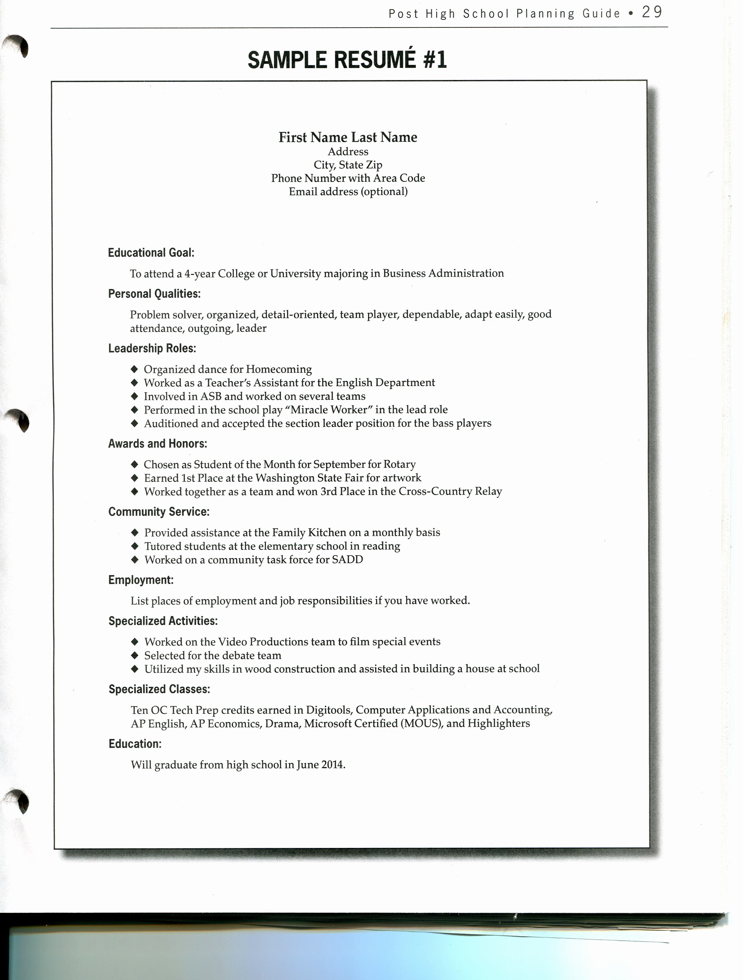 Example Resume Best Template Collection