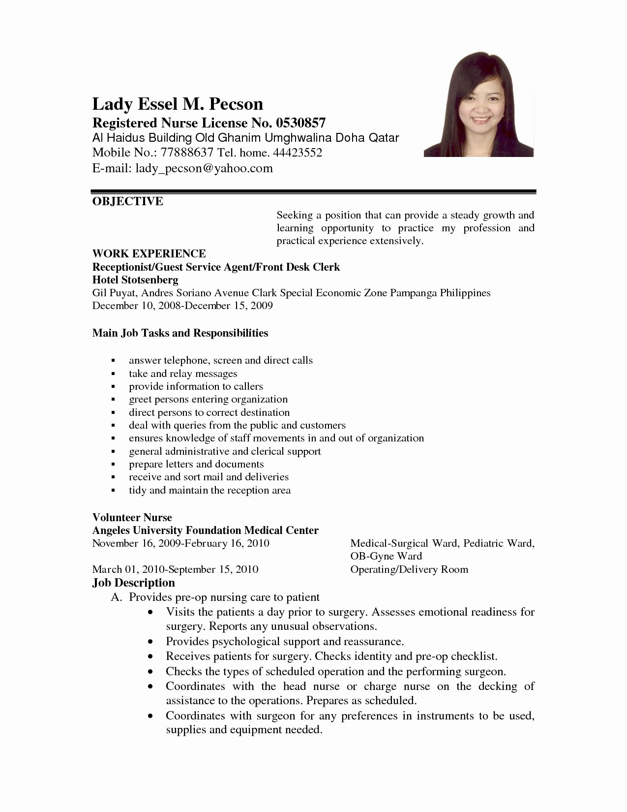 Example Resume Letter for Job Application