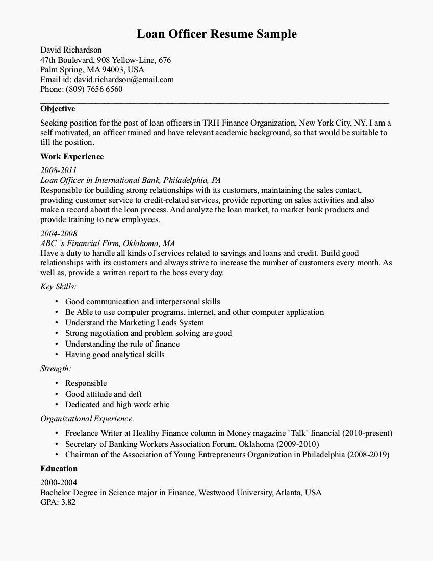Example Resume Summary for Loan Processor