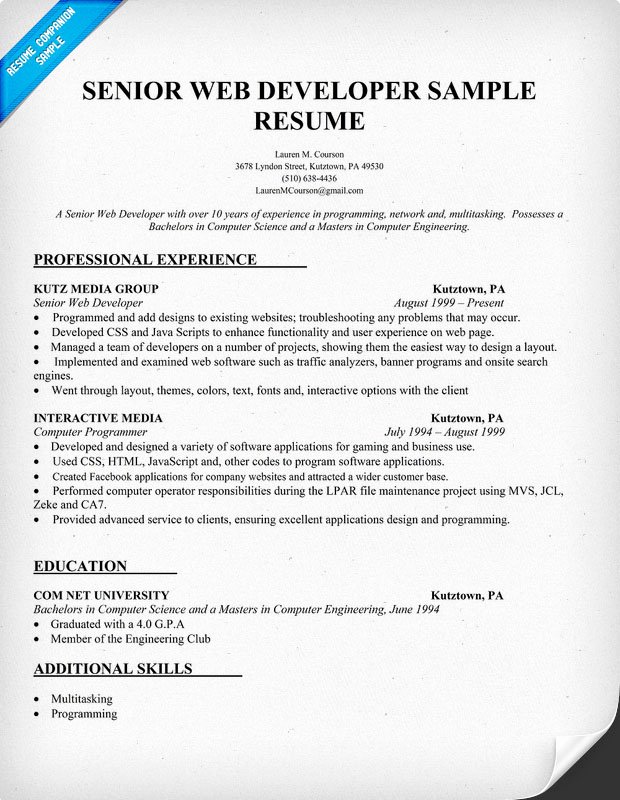 Example Resume Web Developer Resume Example
