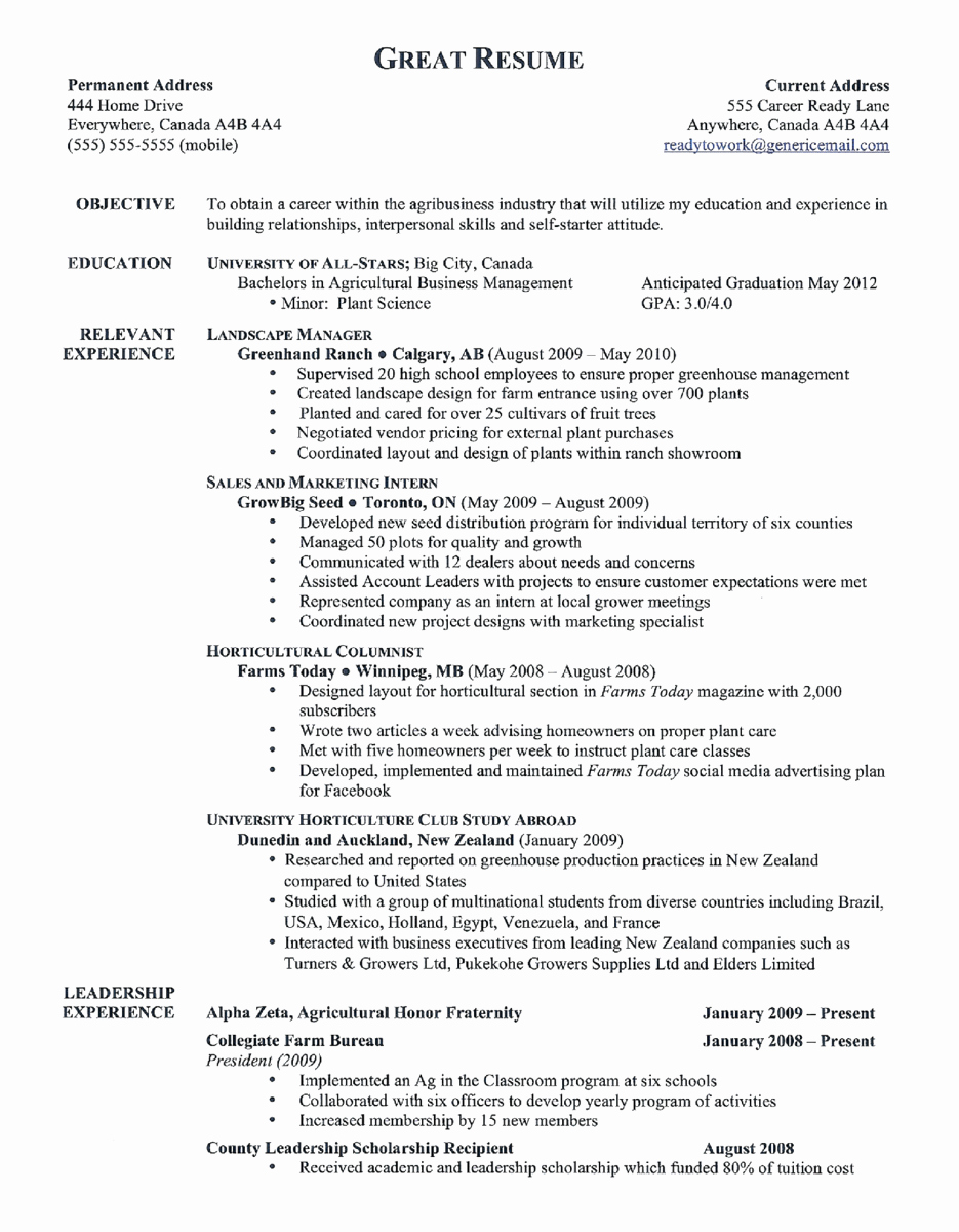 Examples A Good Resume Great 10 Download Great Resume