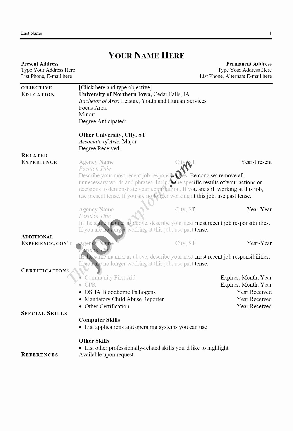Examples A Good Resume Template