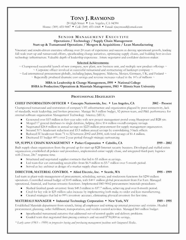 Examples Of A Summary for A Resume – Amere