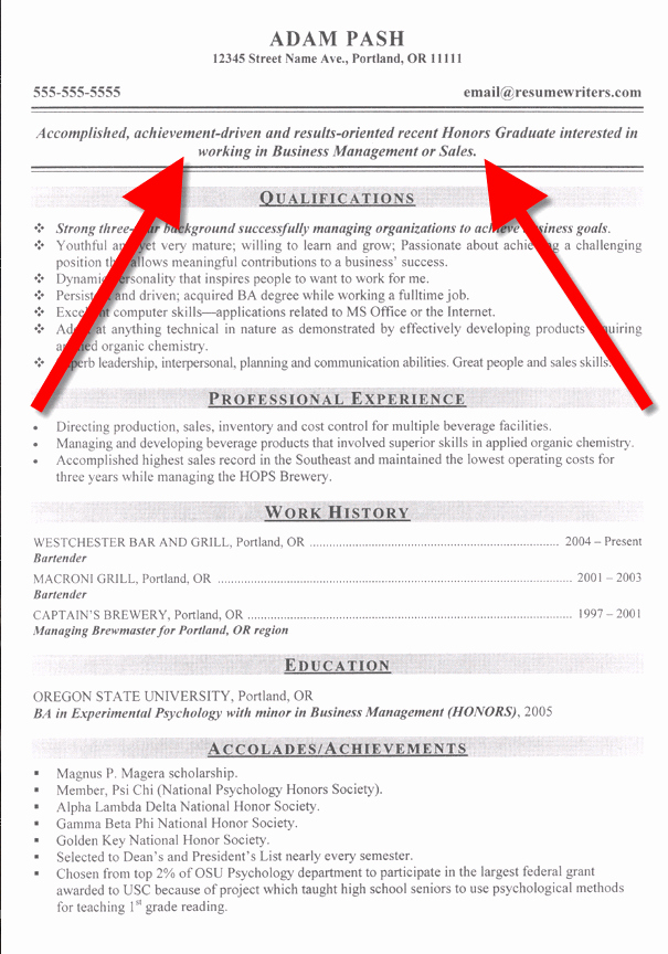 examples of cv objective statements