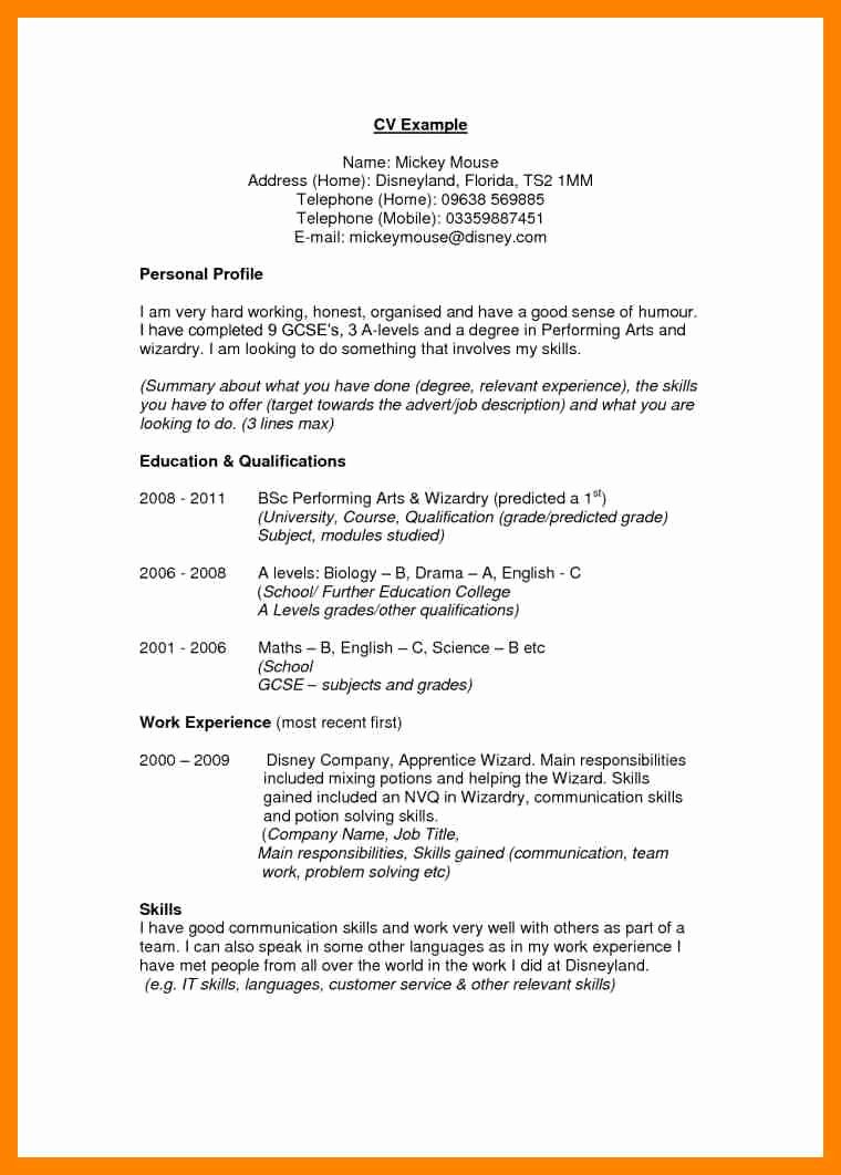 Examples Personal Profile Statements – Perfect Resume