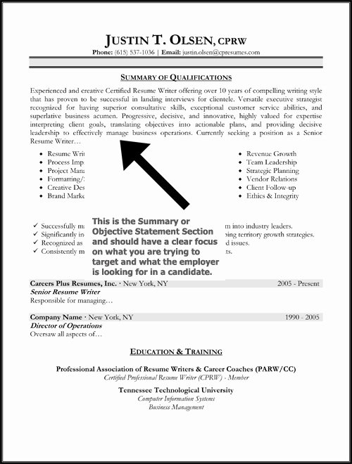 Examples Profile Statements for Resumes Best Resume