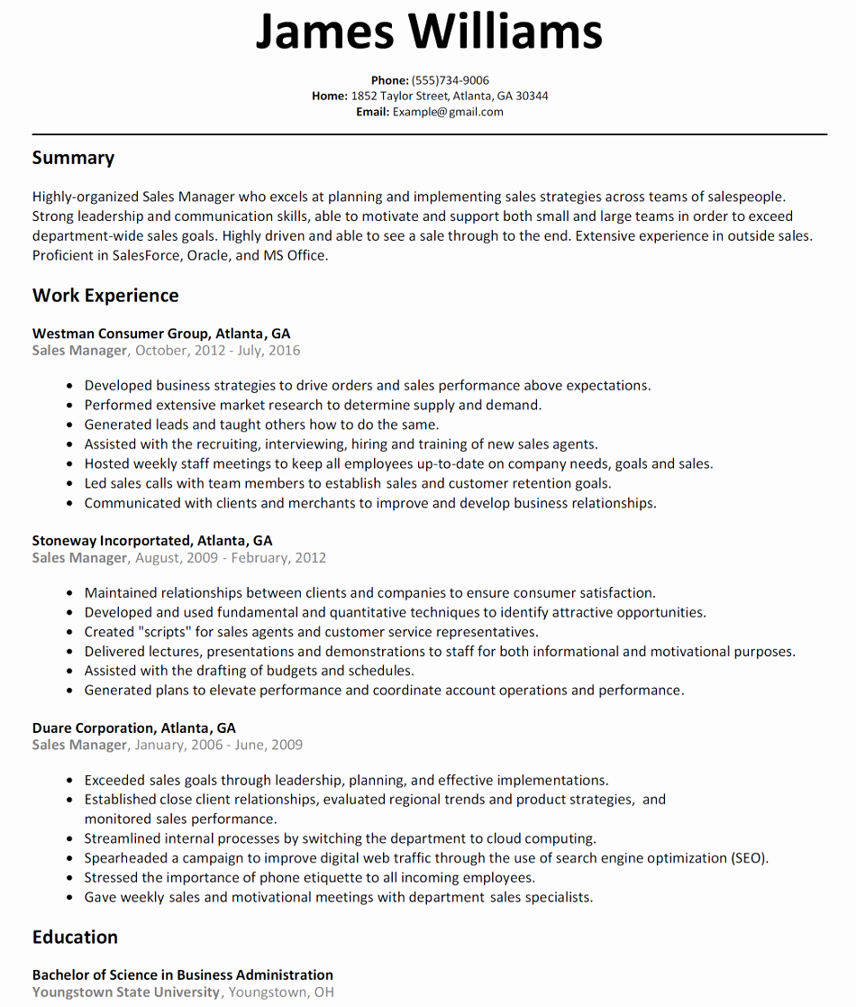 Examples Sales Manager Resumes – Profesional Resume