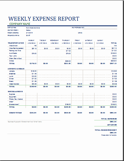 Excel Business Expense Report Template Free Business