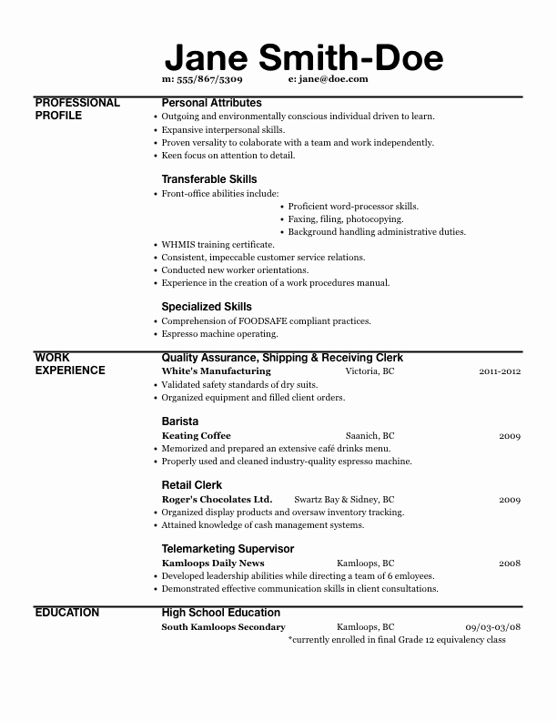 sample resume with excel experience