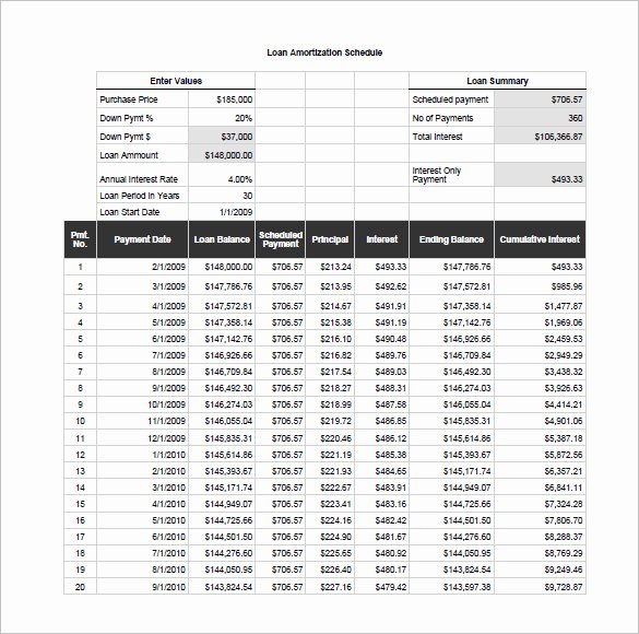 Excel Loan Amortization Schedule Download Printable