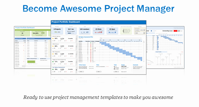 Excel Project &amp; Portfolio Management Templates Download