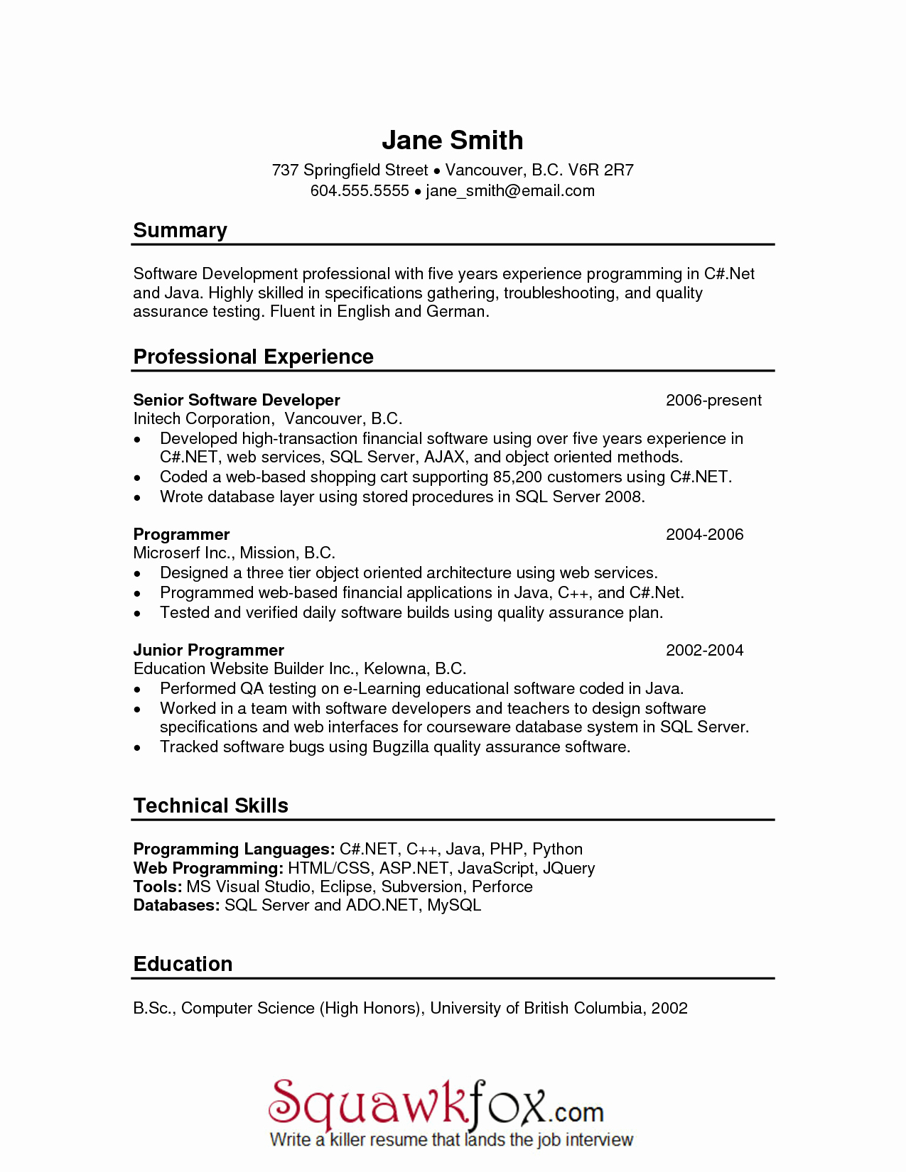 Excellent Resume Examples Pdf
