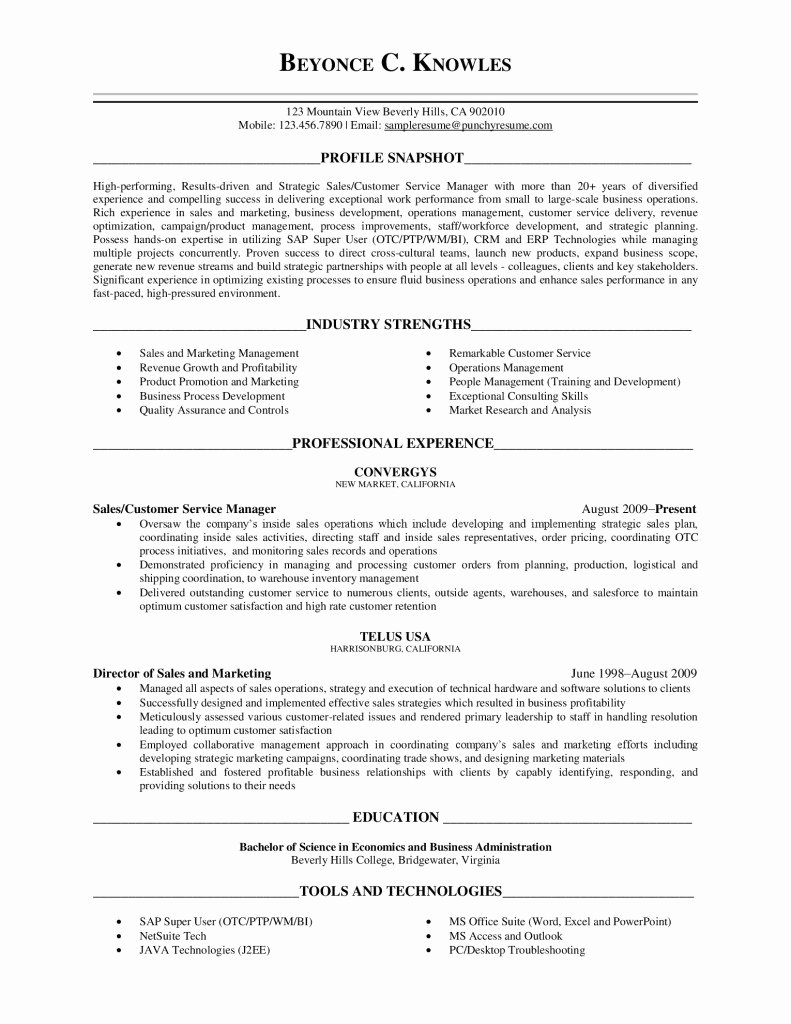 Executive Level Resume Free Resume Review Free Resume