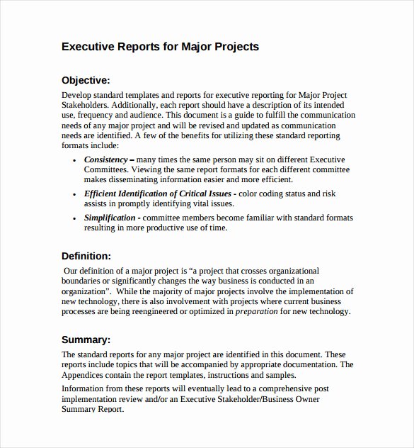 Executive Report Template 7 Free Word Pdf Documents Download