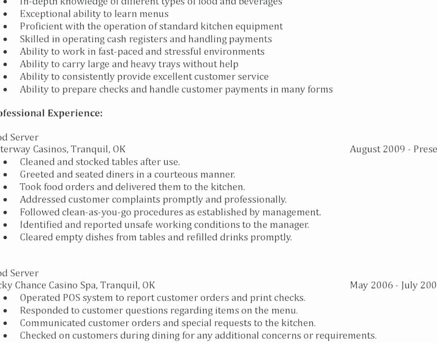 Executive Resume Samples 2016 Beautiful Barback Resume