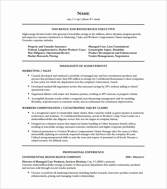 Executive Resume Template 11 Free Word Excel Pdf