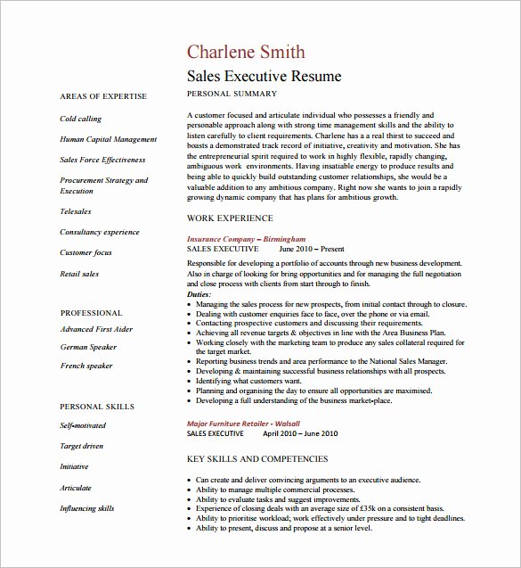 Executive Resume Template 11 Free Word Excel Pdf