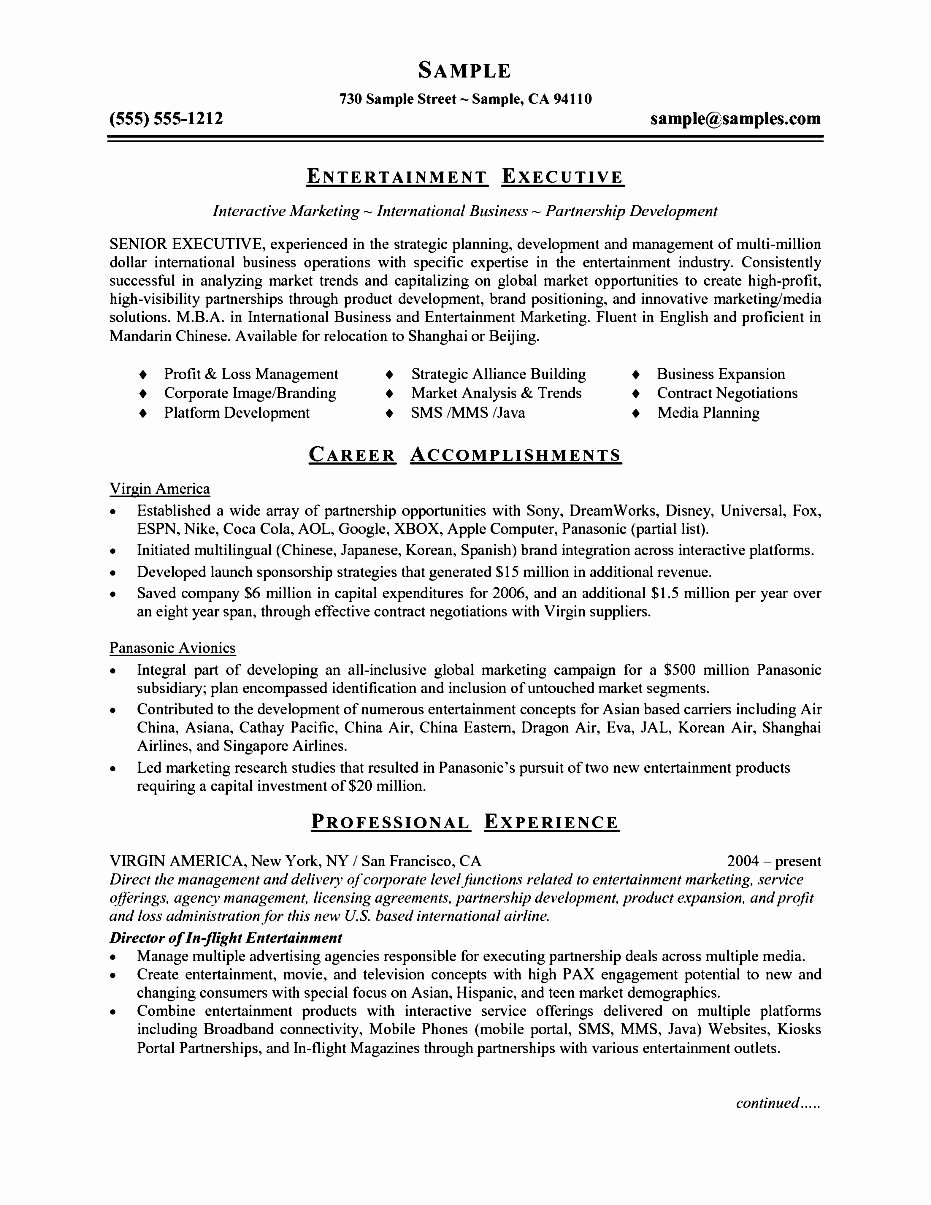 Executive Resume Template Word Free Samples Examples