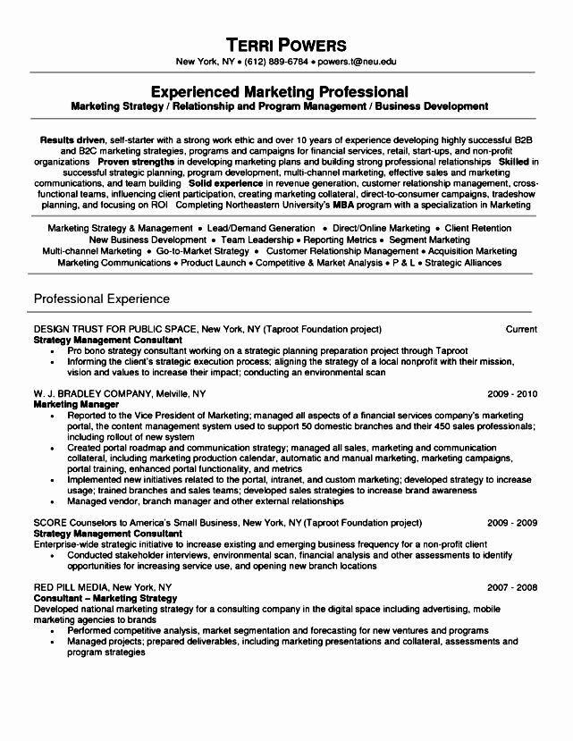 Executive Resume Writing Service Free Samples Examples
