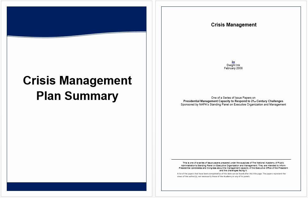 Executive Summary Template for Crisis Management