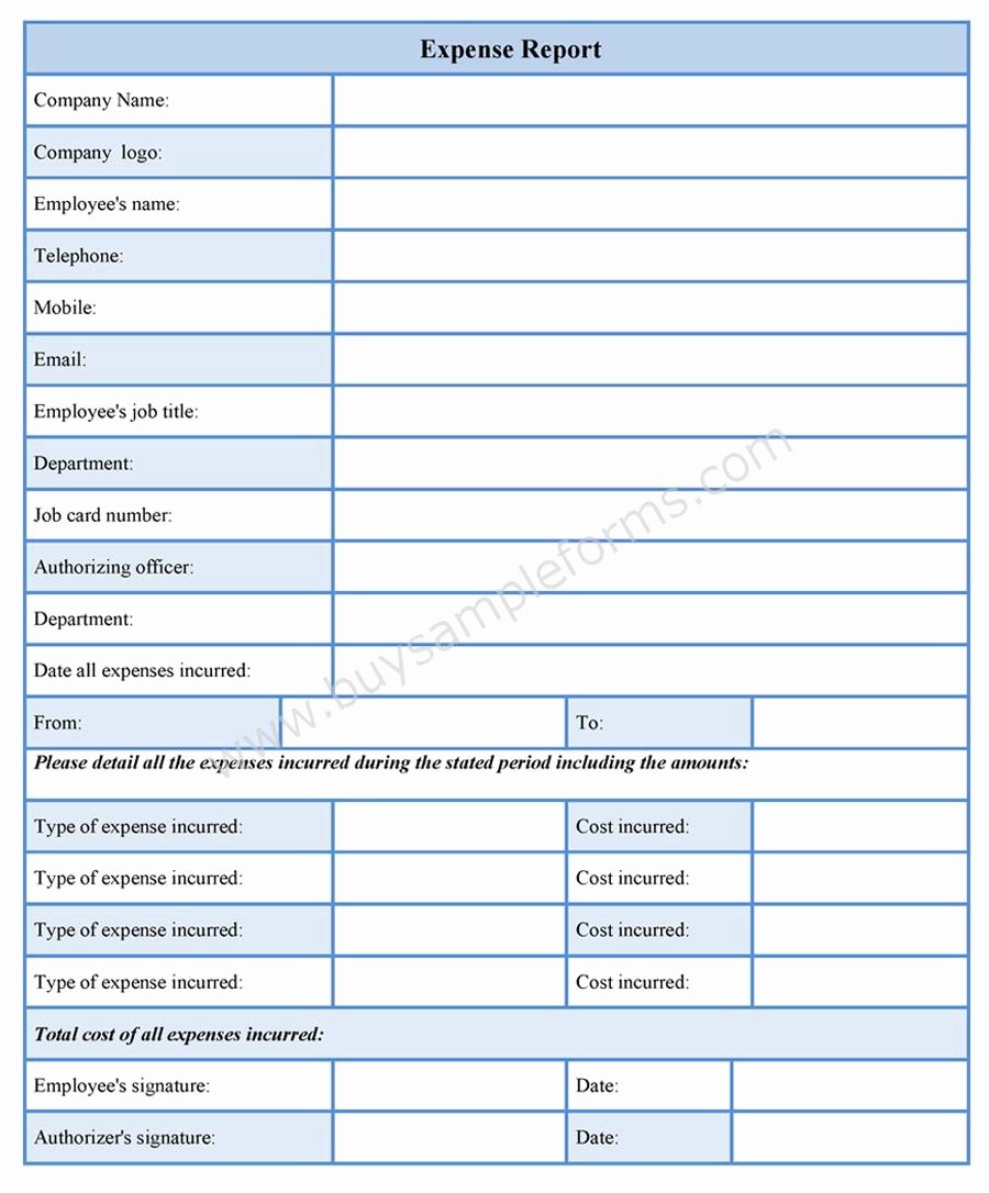 Expense Report form Template
