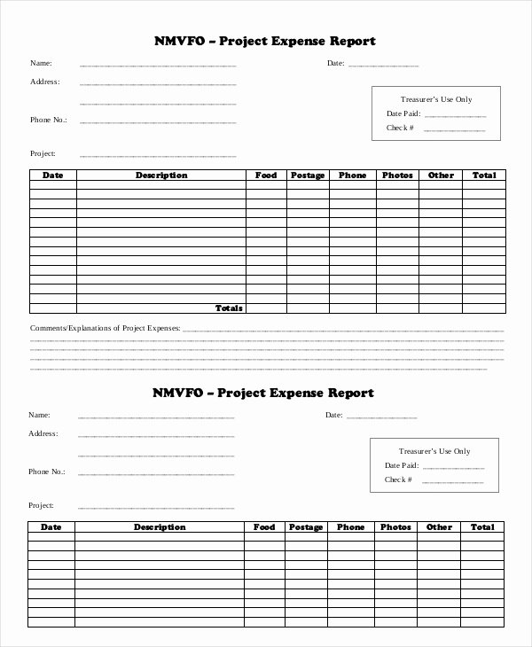 Expense Report Template 17 Free Sample Example format