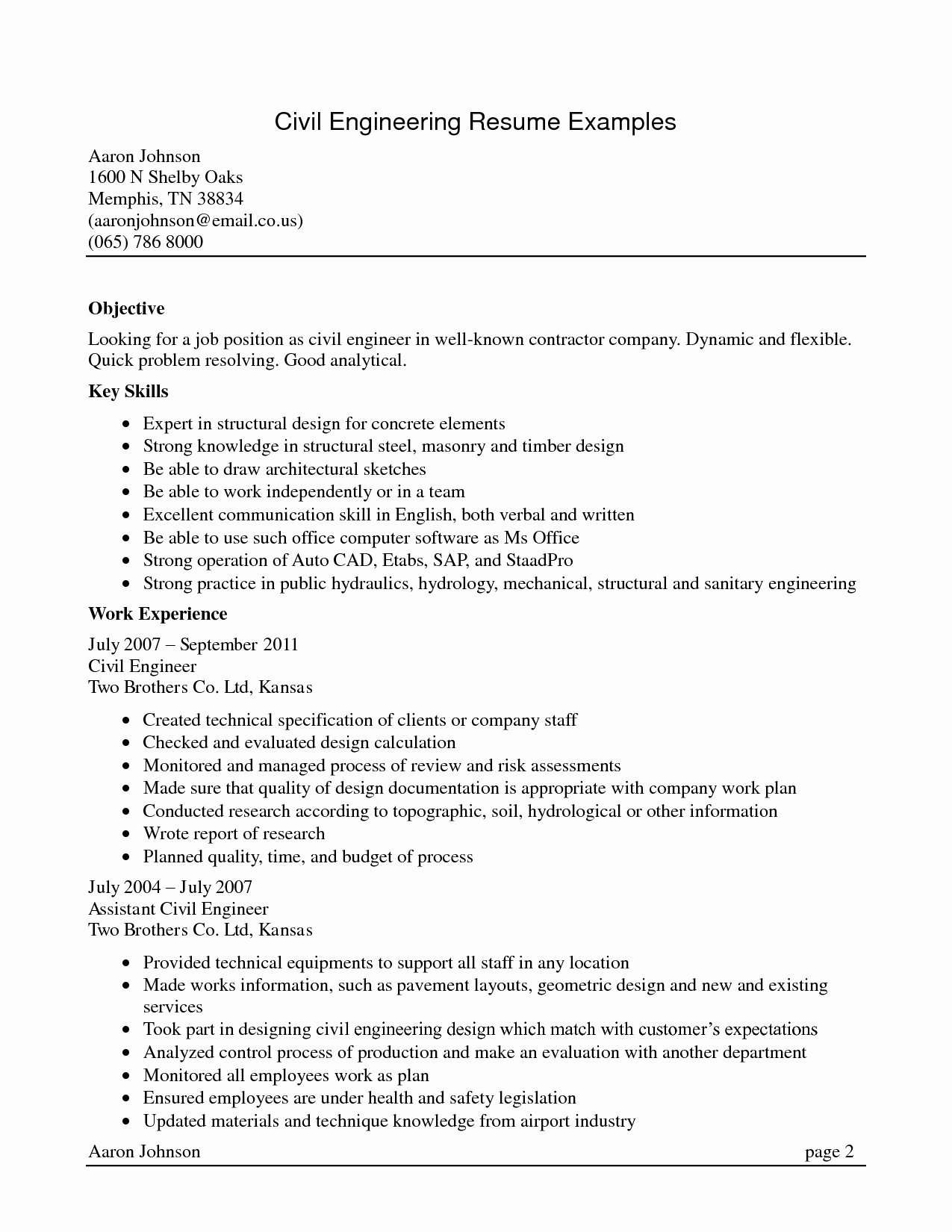 Extraordinary Resume Skills Examples Technical with