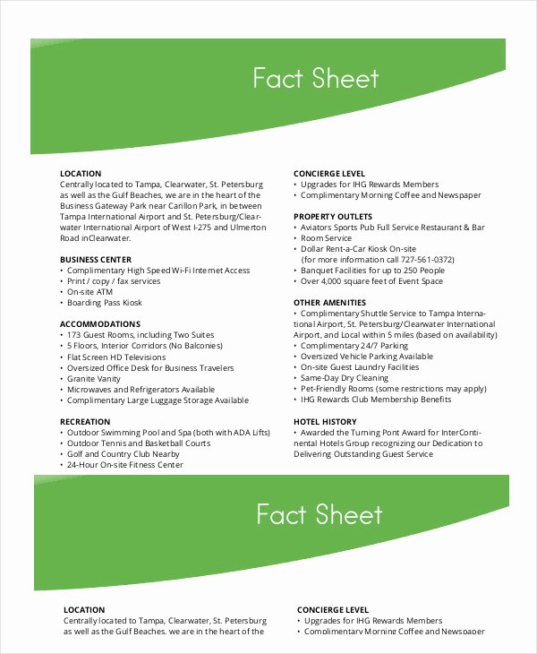 Fact Sheet Template 19 Free Sample Example format