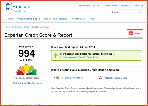 Fake Credit Report