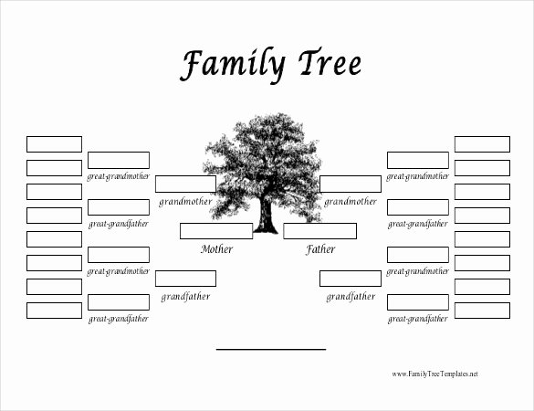 Family Tree Maker Templates Free Invitation Template