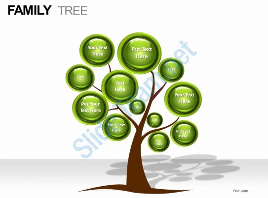 Family Tree Powerpoint Presentation Slides
