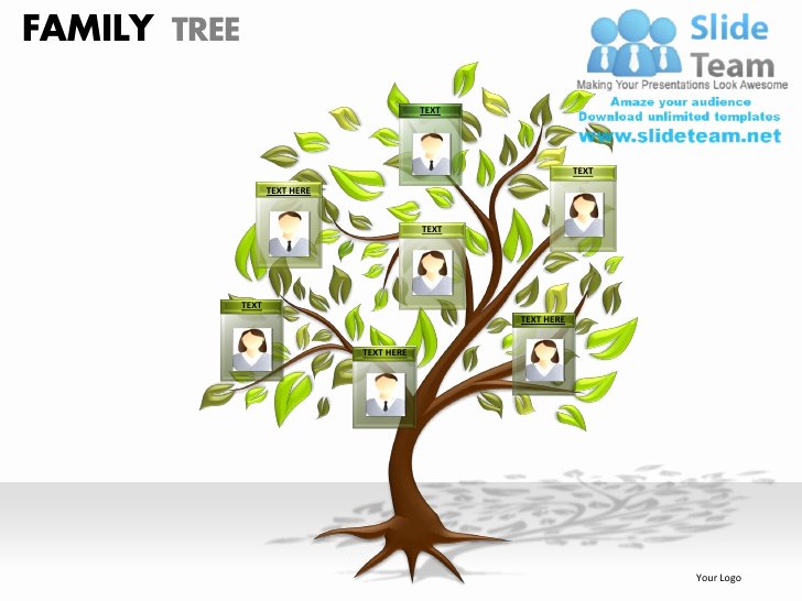Family Tree Powerpoint Presentation Slides Ppt Templates