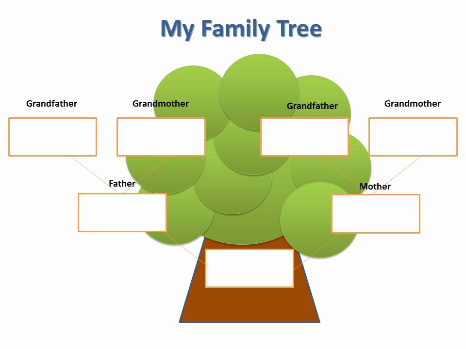 My family and i 3 класс проект